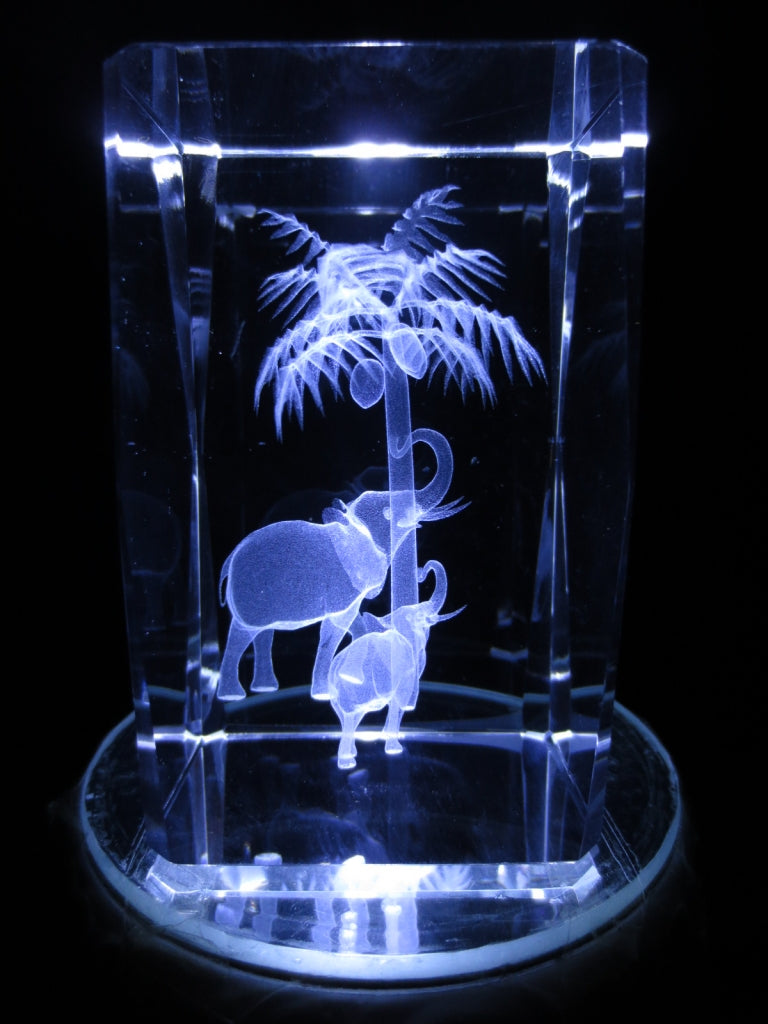 3D Kristal Lasergegraveerd Blok – Twee Olifanten met Palmboom