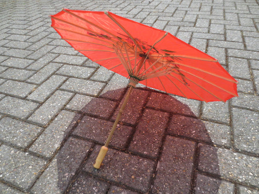 Chinese Parasol - Rood (Groot)