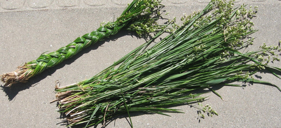 Sweetgrass AA kwaliteit (2 x 60-70 cm)