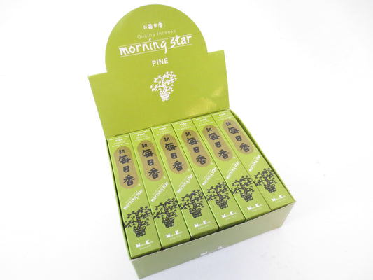 Morning Star - Pine (pak)