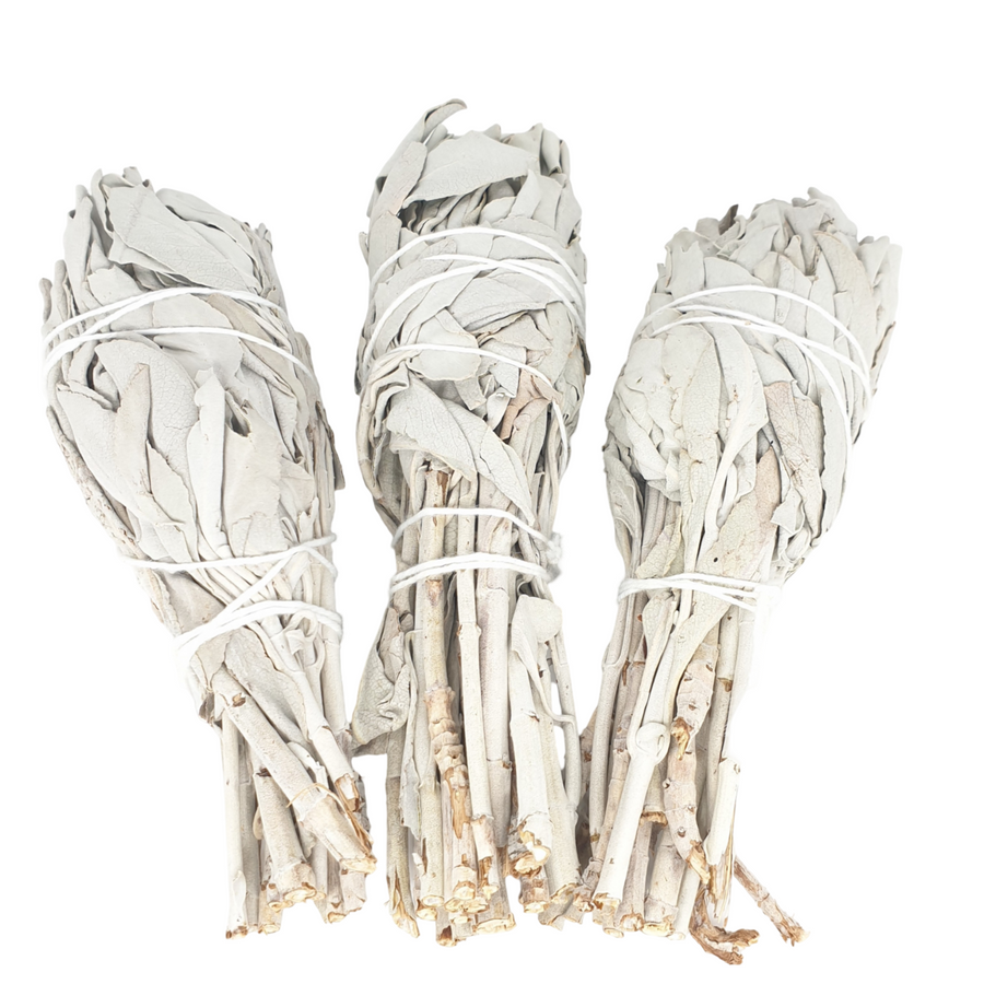 Witte Salie Tulip Bundel - (3 x 30 - 35 grams)