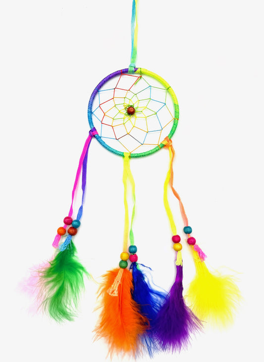 10cm Ronde Gekleurde Dromenvangers (6 stuks)