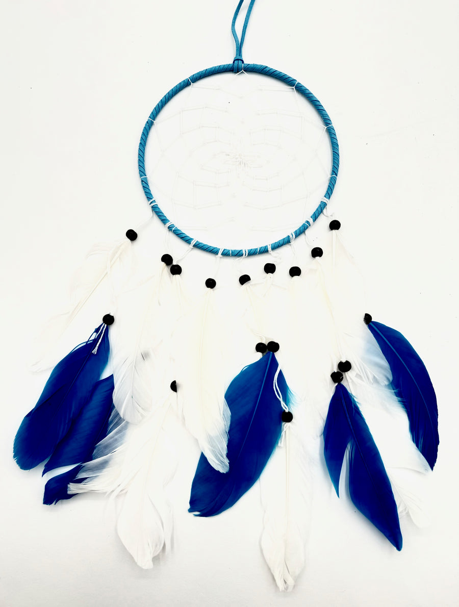 16cm Ronde Dromenvangers - Blauw &amp; Wit