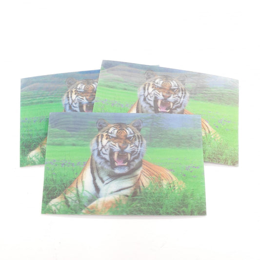 3D Dierenmagneetkaarten Tijger II
