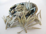 Abalone Schelp Groothandel - XL