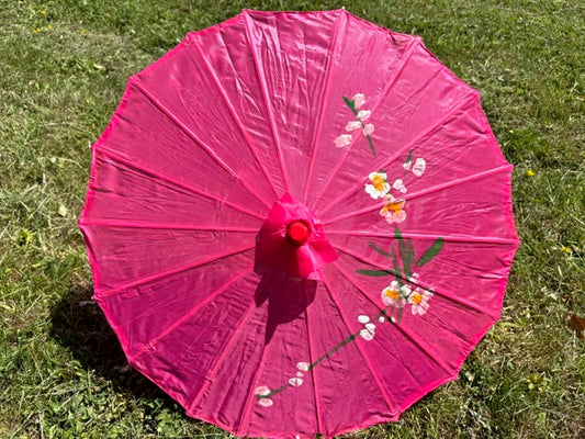 Chinese Parasol - Fuchsia (Klein)