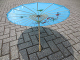 Chinese Parasol - Blauw (Groot)