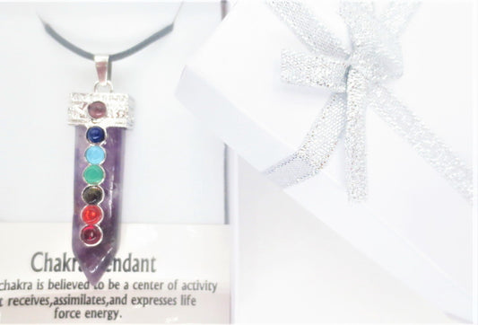 7 Chakra Edelsteen Ketting Hanger (I) - Amethist