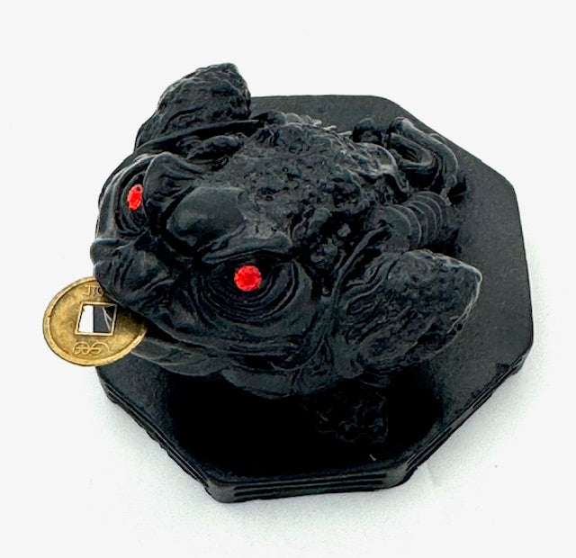 Feng Shui Kikker met Geluksmunt - Zwart