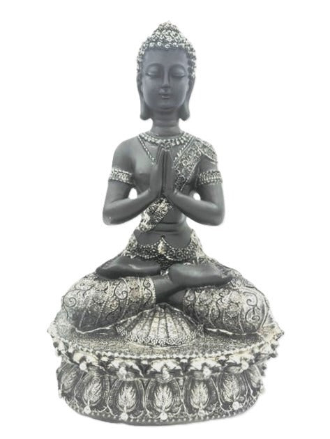 Tibetisch Boeddhabeeld – Schwarz en Zilver
