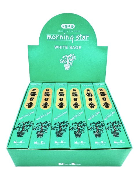 Morning Star - White Sage (pak)