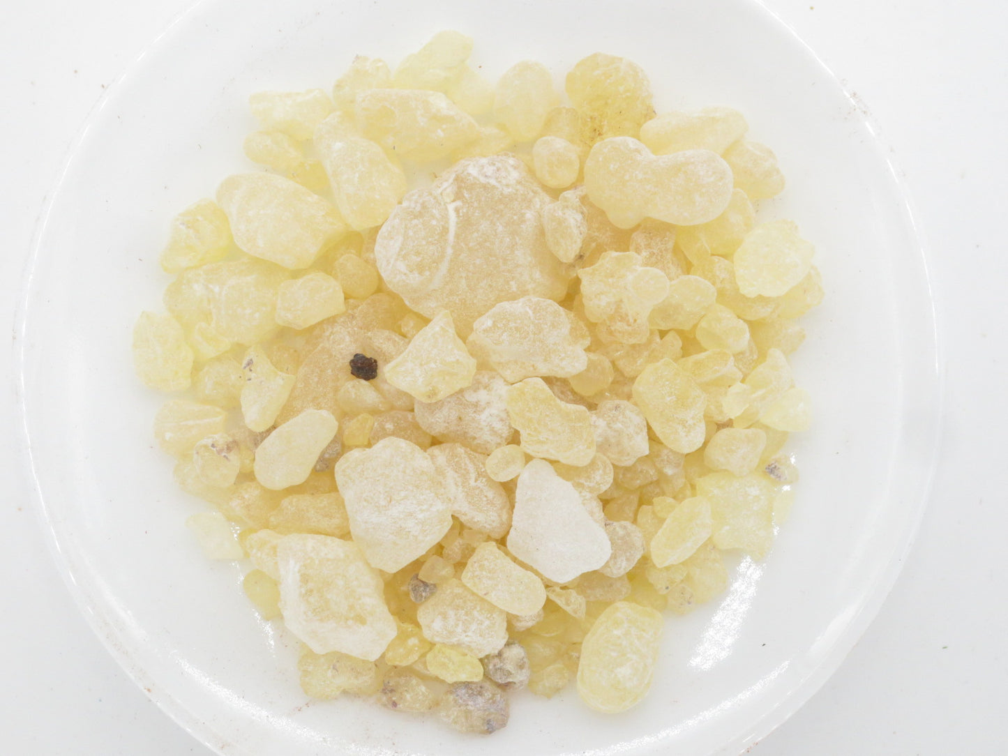 Hars Wierook Gom Damar - 1000g