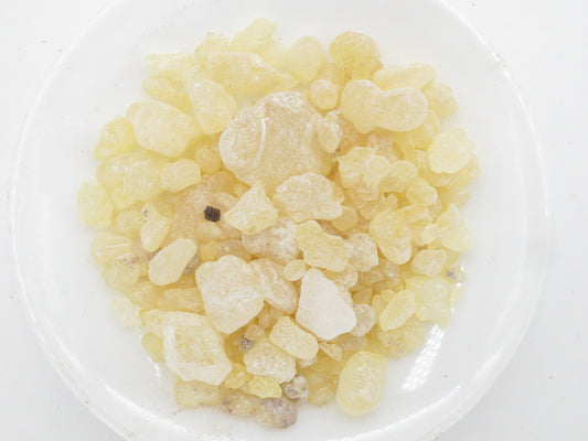 Hars Wierook Gom Damar - 500g