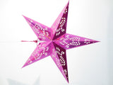 Papieren Ster Lantaarn - Roze