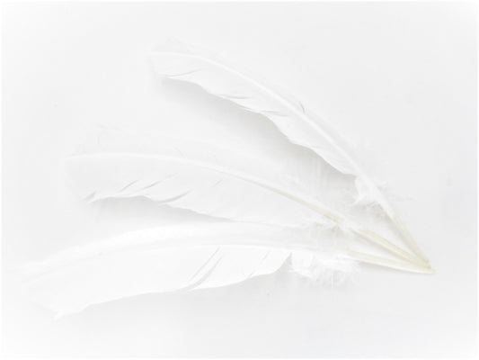 White Sage Smudge Feather wit (3 stuks) - groothandel