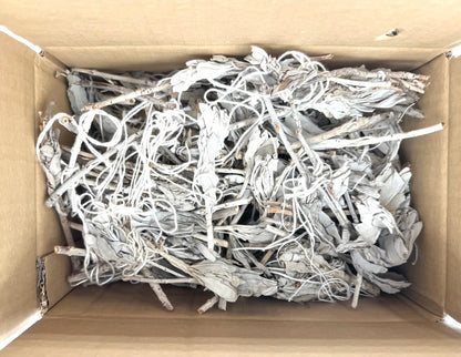 Witte Salie Tulp Verlies (1000g)