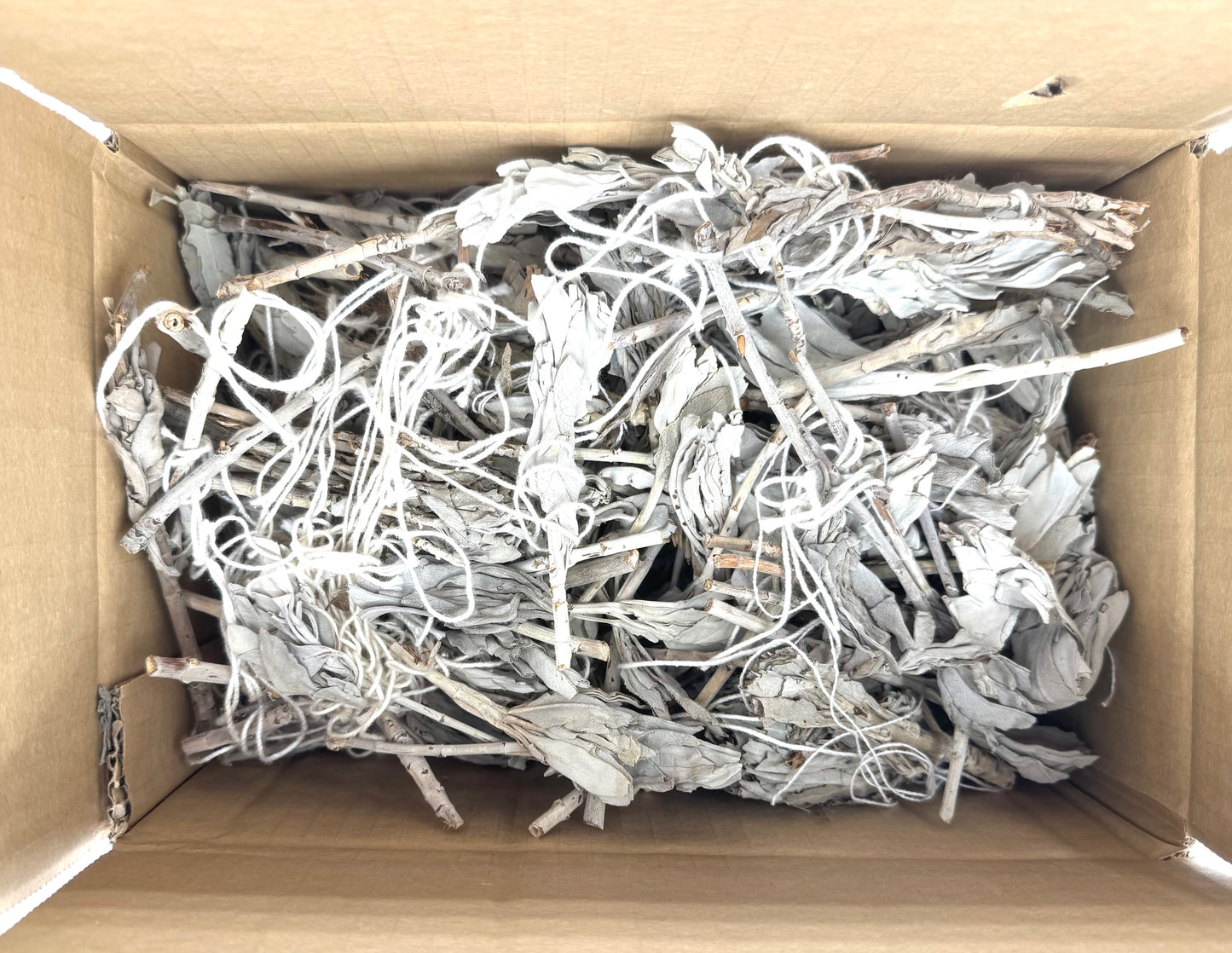 Witte Salie Tulp Verlies (500g)