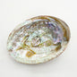 Groothandel - Abalone Shell Mini