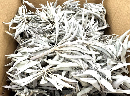 Groothandel - Witte Salie Cluster AA Kwaliteit - (1000g)