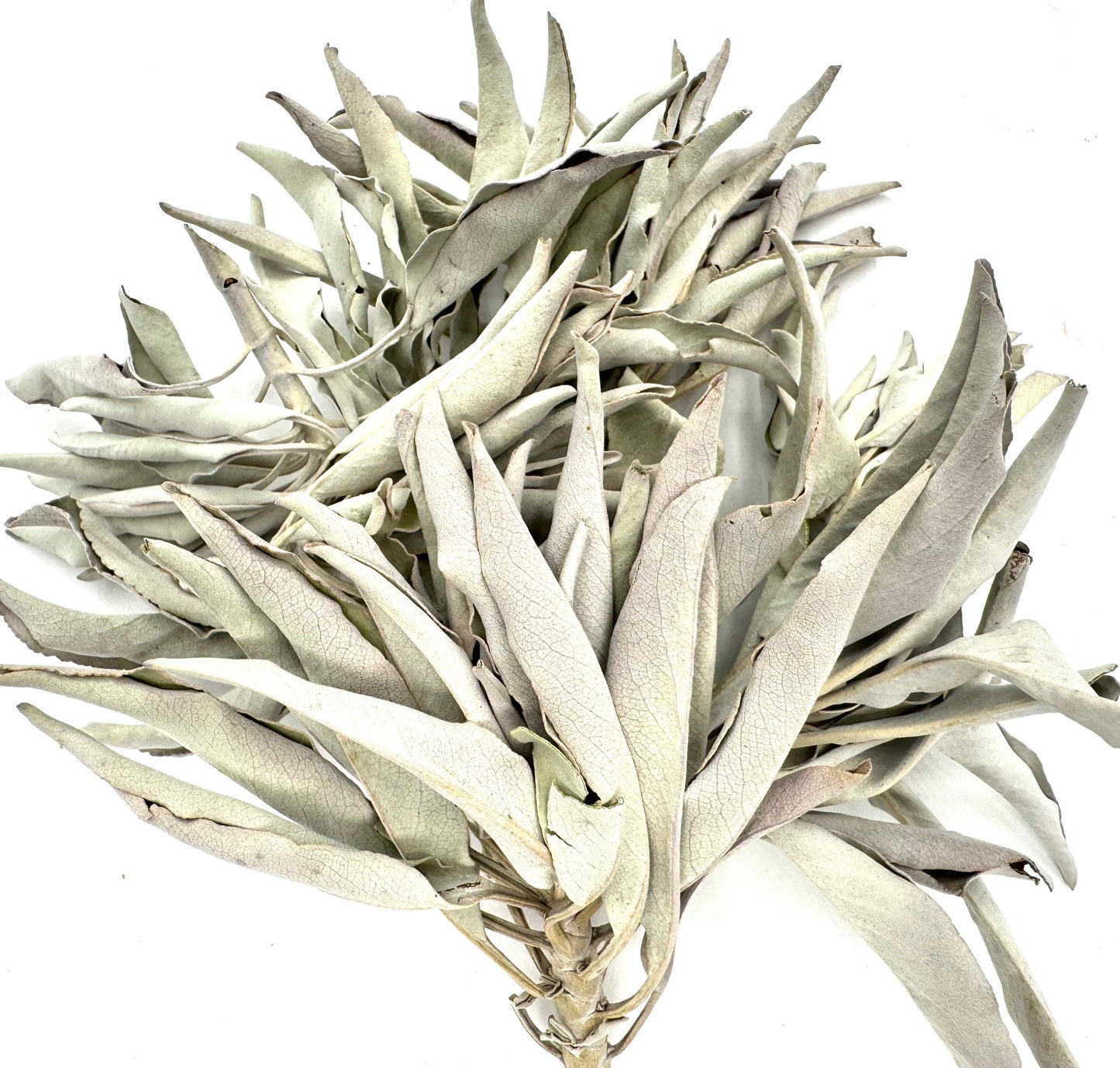 Witte Salie Cluster 2000gram