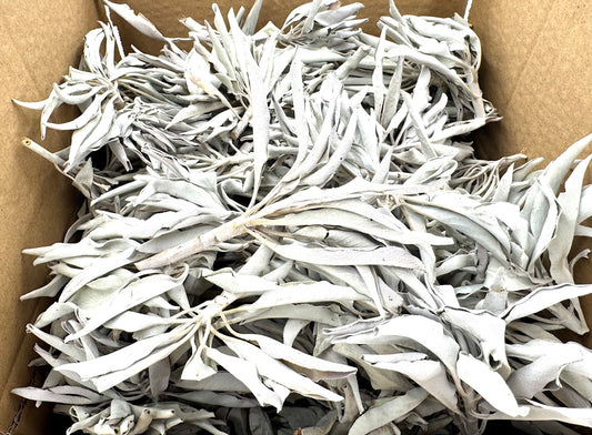 Witte Salie Cluster AA Kwaliteit - (1000g)