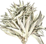 Witte Salie Cluster AA Kwaliteit - (1000g)